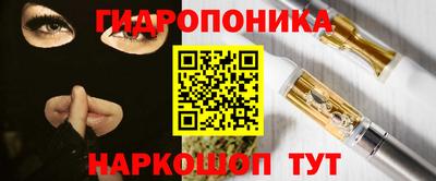 гидра Можга